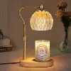 Amber glass copper light pole, wooden base