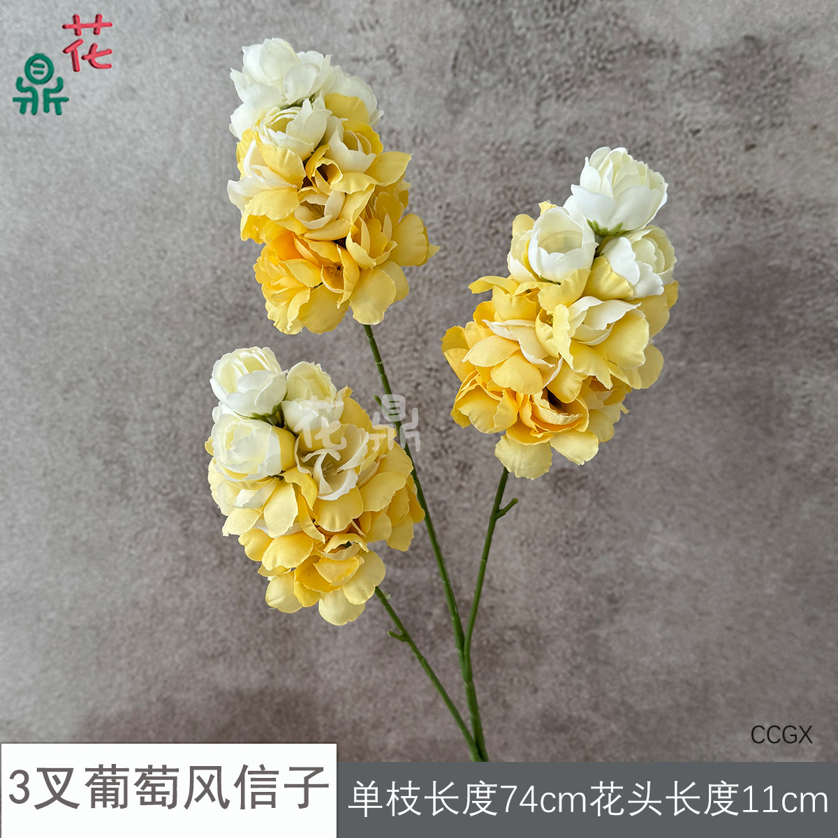 Măng tây 3 ngạnh CCGX màu vàng
