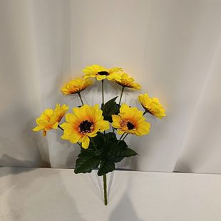 �������տ�13�^̫ꖻ��Ҿ��bٻ����^���տ��羳؛Դ�N�˴��l