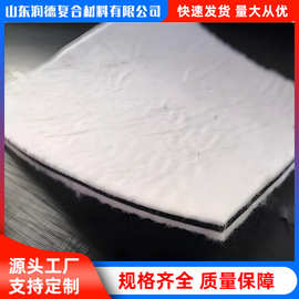 复合土工布路面养护涤纶防水防渗水绿化库人工湖无纺复合土工布