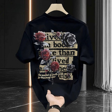 2026�ļ��¿�ins����Ʀ���ذ����޶���t���Ќ��ɈA�I��ʿ�����w��