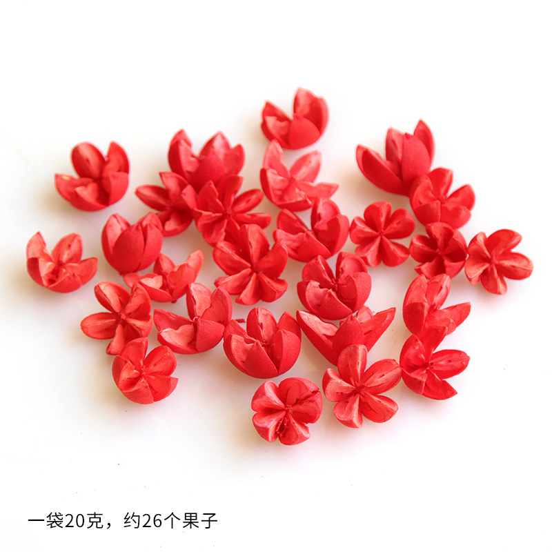 Hạt dẻ cười đỏ [một túi 20 gam, khoảng 26 chiếc]