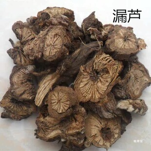 Ұɽ©�J  ©�J�� �e������©�J Ұ�m 500����؛��؛