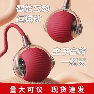 Cross-Border Bite-Resistant Automatic Cat Teaser Ball, Cat Toy Ball, Self-Entertaining Boredom-Relief Cat Toy, Magic Jumping Ball, Pet Supplies