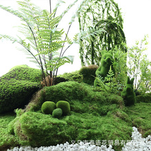 ������̦�\��Ƥ��ƺֲ����^ܛ�b����������չʾ�辰���Լ�̦�\