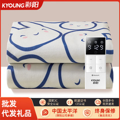 彩陽電気毛布一人調温電気加熱マット寮毛布二人毛布電気毛布流通電気毛布卸売り