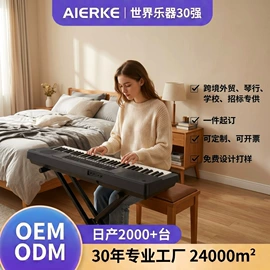 键盘类乐器;乐器配件;打击类乐器