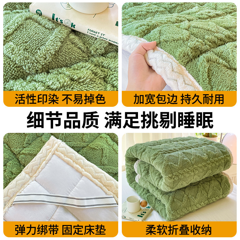 クラスA厚いタフマットレスクッション家庭用寝室牛乳ベルベットマットレス冬シングルマット布団|undefined
