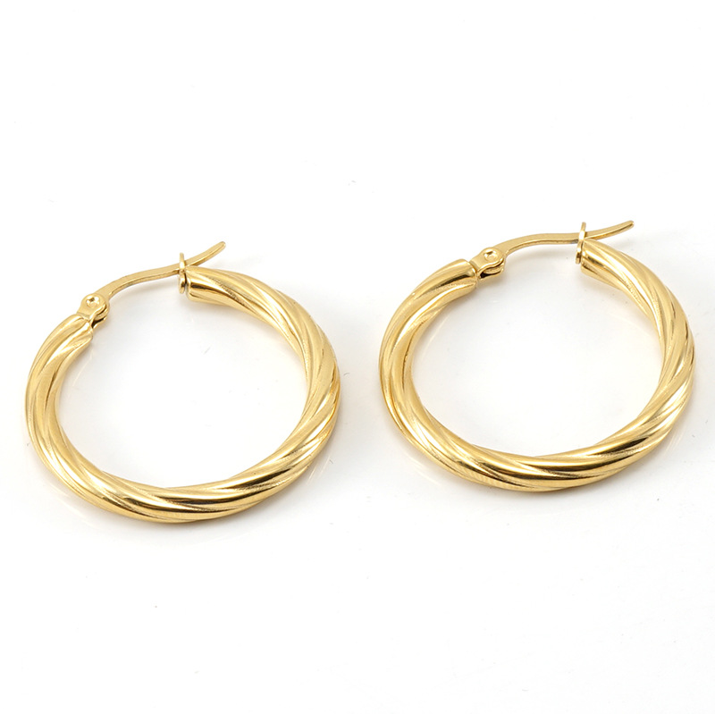 Fashion Round Titanium Steel Plating Hoop Earrings 1 Pair display picture 4