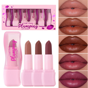Leaf P0Em Cross-Border Lip Plumping Six-Piece Moisturizing Lipstick Set Slightly Spicy Pouty Lips Long-Lasting Moisturizing Waterproof Lipstick