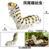 M-3093 Phoenix Dievania larvae