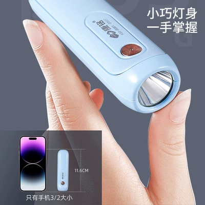 Portable Lighting Plastic Flashlight: UV fənərlər