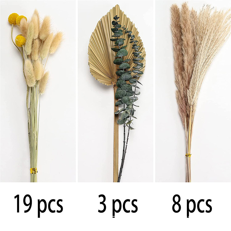 30 cattail 잎 (상자 포장 포함)