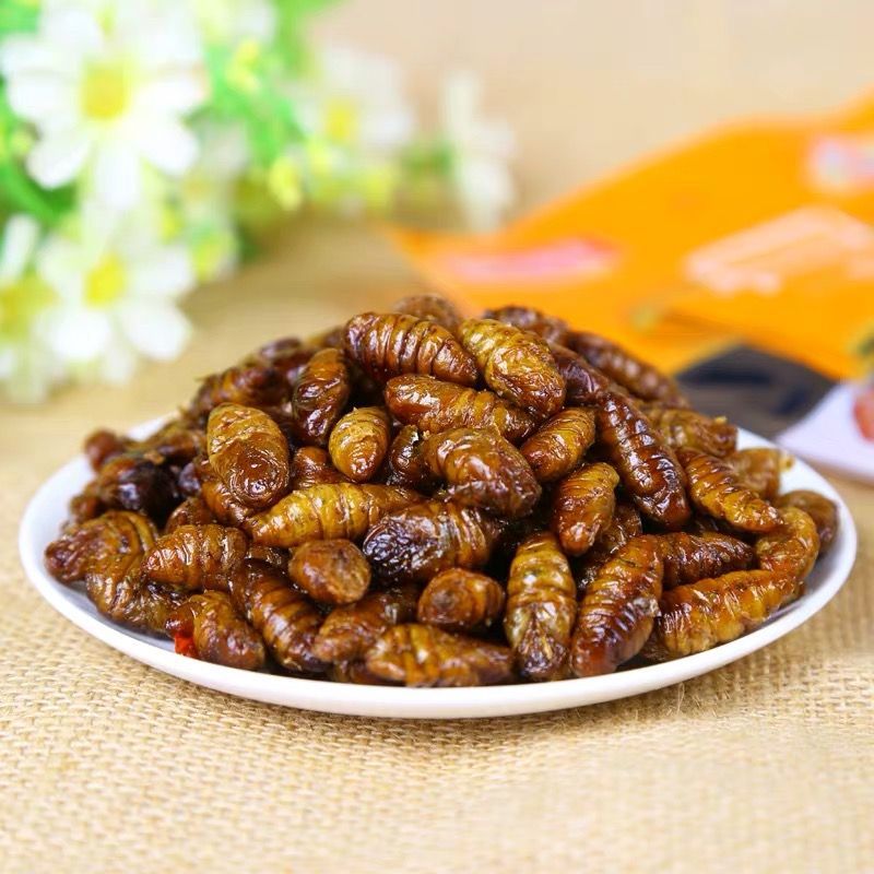 香辣即食熟蚕蛹香酥五香新鲜蚕蛹子熟食下酒小菜源头工厂一件批发