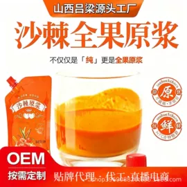 果蔬汁;其他软饮料;食品饮料加工