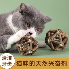 木の天のタデの猫のミントは猫の棒の猫のおもちゃをからかいます。
