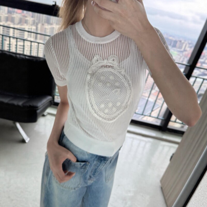 Nanyou High-End Women's Clothing 2026 Spring/Summer New Lace Hollow Out See-Through Ribbed Short Sleeve Knitted Slim Fit Round Neck Top