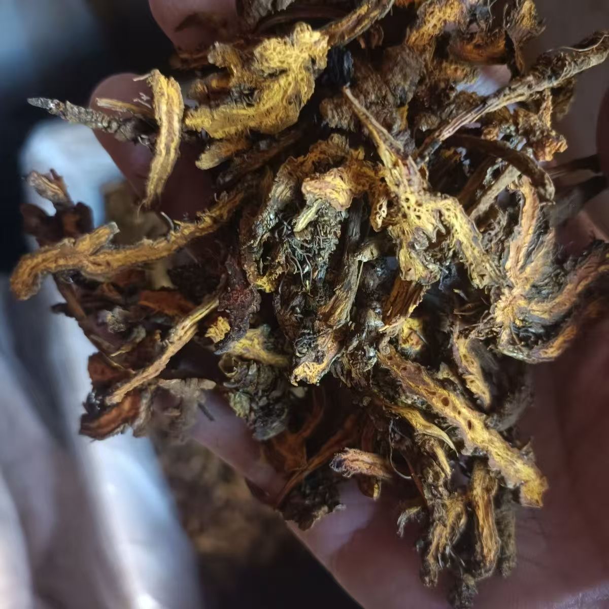 Sichuan Coptis Huang Lian Sliced Dried Herb 500g Traditional TCM Bitter Cooling Root specifications