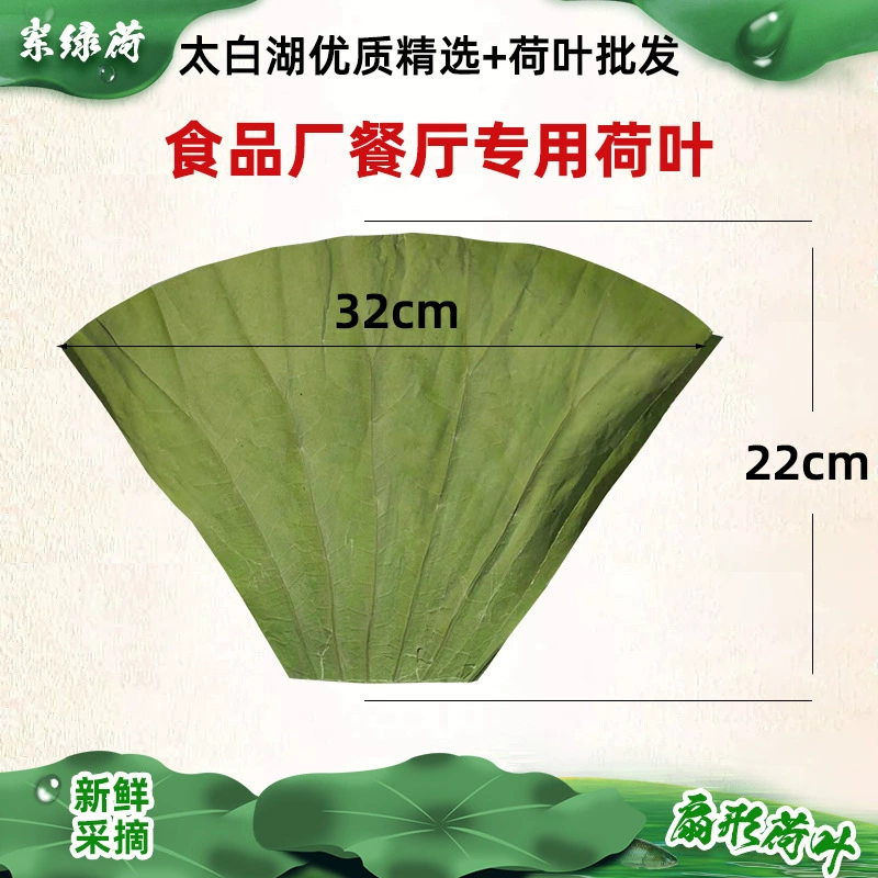 Веерообразный сушеный лист лотоса оптовая продажа с фабрики Озеро Тайбай лист лотоса резка кусок 32*22 ㎝ паровой рис лист лотоса курица сушеные лист лотоса