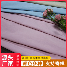 工厂直供 290T消光尼龙塔丝隆仓库现货 夹克棉衣遮阳帽沙滩裤面料