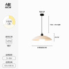 Japanese modern and minimalistic ceiling lamp, bar Scandinavian lights for corridor