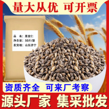 黑麦仁50斤/袋去皮黑麦米黑大麦粗粮商用杂粮摊煮粥厂家批发现货c