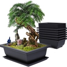 外贸矩形花盆 仿古塑料多肉花盆 盆景盆栽大号紫砂色花盆