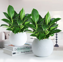 Kk҃ȺB׻ֲȥȩB՚Gֲ