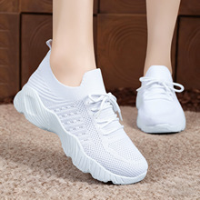 ŮЬ���eЬ2026������a�������ЬŮ�W��͸���w��Ьϵ�������Ь