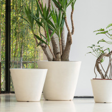 p|V͸谫AF͏dWLGֲˮ