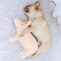 狗狗玩具發泄公狗泰迪法斗幼犬寵物大型犬磨牙耐咬毛絨發情期用品