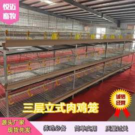 三层立式肉鸡笼养殖场鸡笼 镀锌鸡笼子阶梯式蛋鸡笼子全套