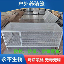 鸡笼鸽笼兔笼家禽笼防鼠防蛇防黄鼠狼家用养殖厂家直销冲孔网