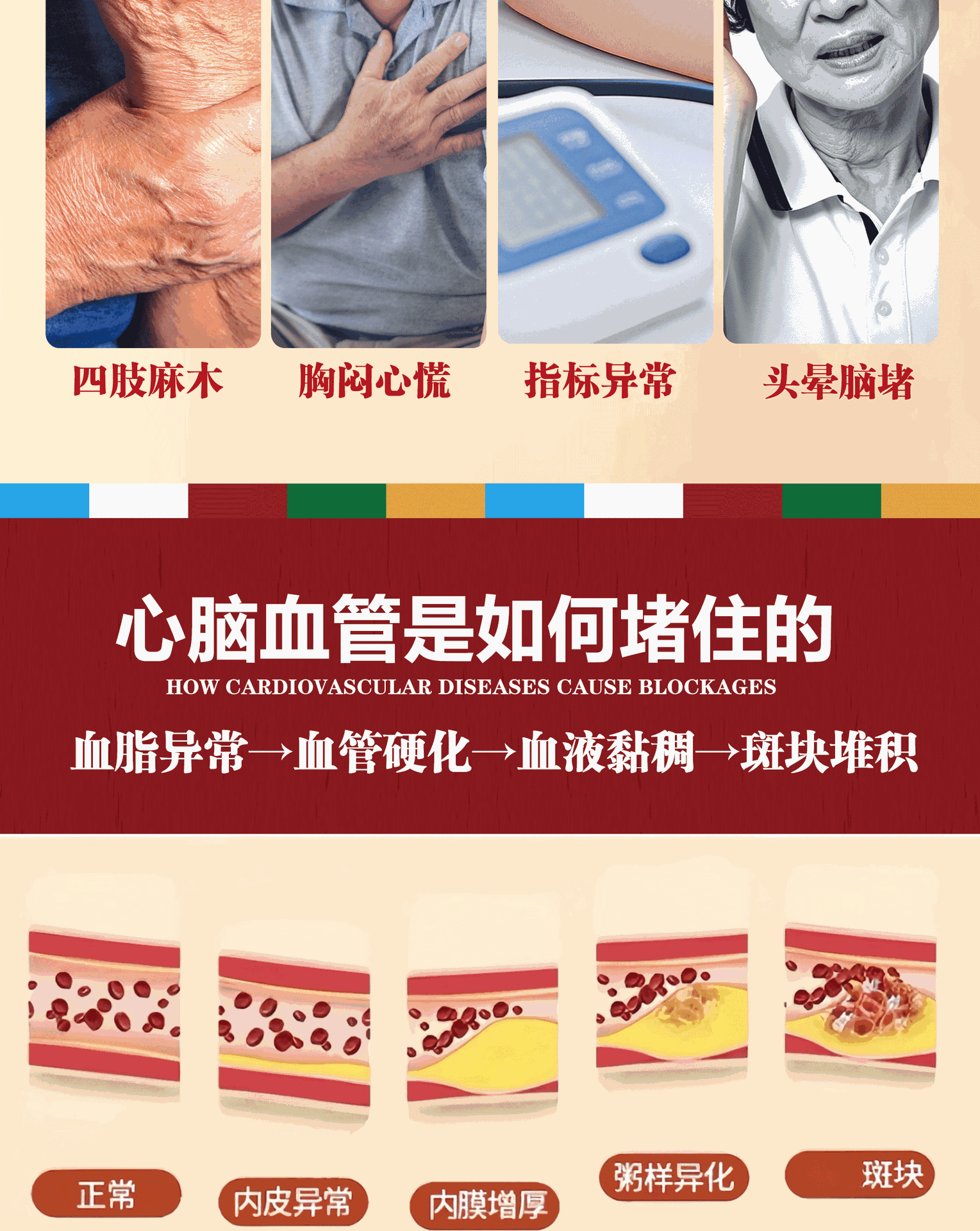 Nineteen Herb Tibetan Wellness Pills Shizhen Wan Ginseng Lingzhi Daily Herbal Supplement 144g key features