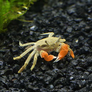 ��������з�^�p�~�^�pз�ݸ�з��ˮз���Ժ��~�r���B�ĵח�з����