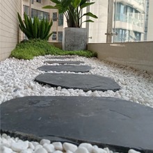 ?��ʯ��̤��ʯ��Ҏ�tͥԺ͡��ʯ�����شu�@�־��^���ʯ��ƺ�|�_