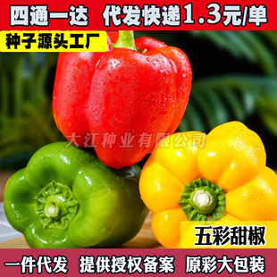 �߲ʽ��N������^�p�ݽ��N���̨���Դ���¶�ش��ļ��Nֲ�����N��