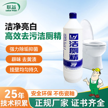 强力去污马桶清洁除臭剂洗厕所卫生间洁厕灵洁厕精900克整箱