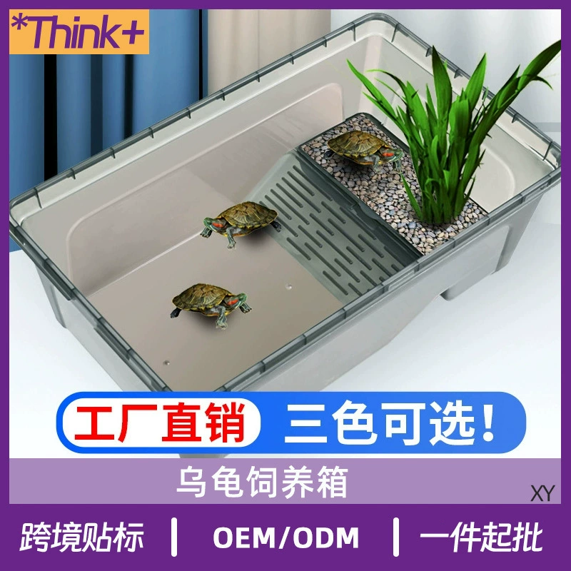 Прозрачный аквариум с черепахами