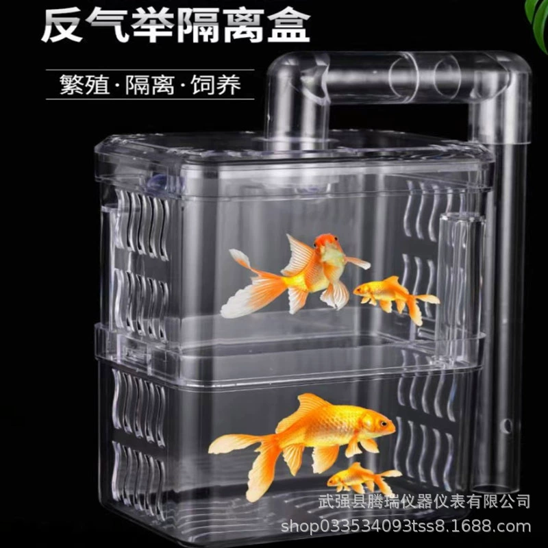 Антигазовый подъемник Изоляционная коробка Гуппи Коробка для размножения тропических рыб Комната для нереста мелких рыб Сетчатая коробка Изоляционная коробка Инкубационная коробка для аквариума