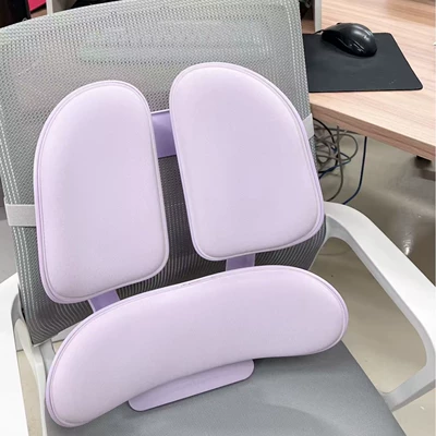 Waist support for Long Sitting, Ergonomic Waist
