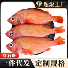 �tʯ���~�r��������󺣲��r����������~���l���F�~���lһ�����l