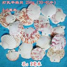 海螺贝壳套装幼儿园手工材料包微景观装饰打孔贝壳打孔彩贝