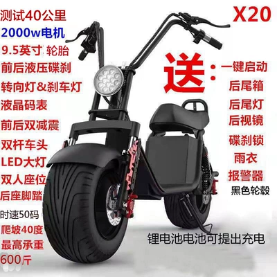 vehicle for men and women, with – Qatlanan elektrik velosipedlər - x20-motor-2000w-lithium-battery-can-be-taken-out-for-charging-test-40-kilometers-60v