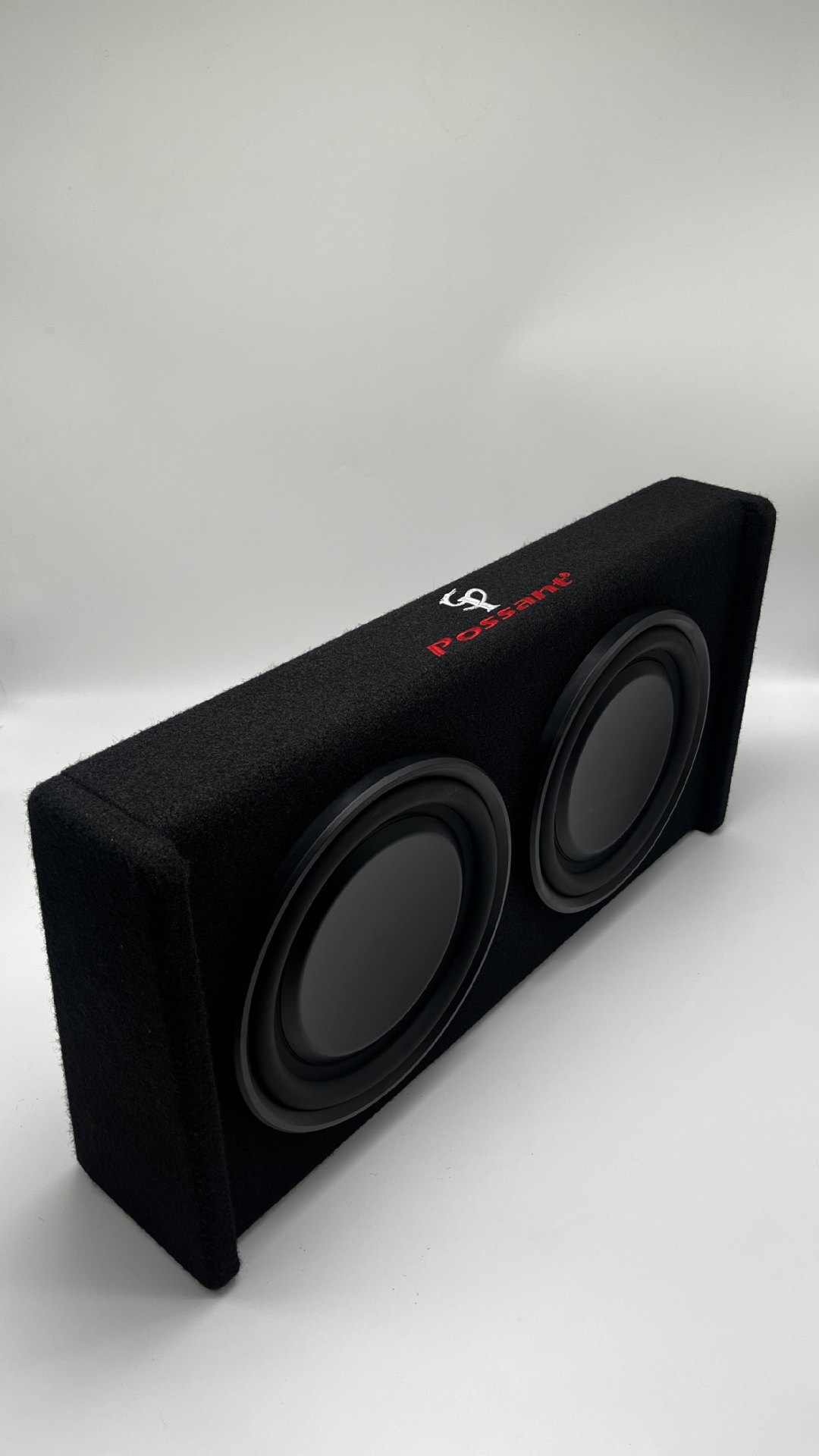 New Model 10inch Dual-Speaker Car Audio 12V Car Subwoofer High-Power Class D Digital Amplifier Active Without External Power Supply