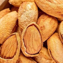 ���㱡Ƥ�͵�ľ�Թ���ʳ500g�_���ք��Թ�������؛�����ʰ͵�ľ