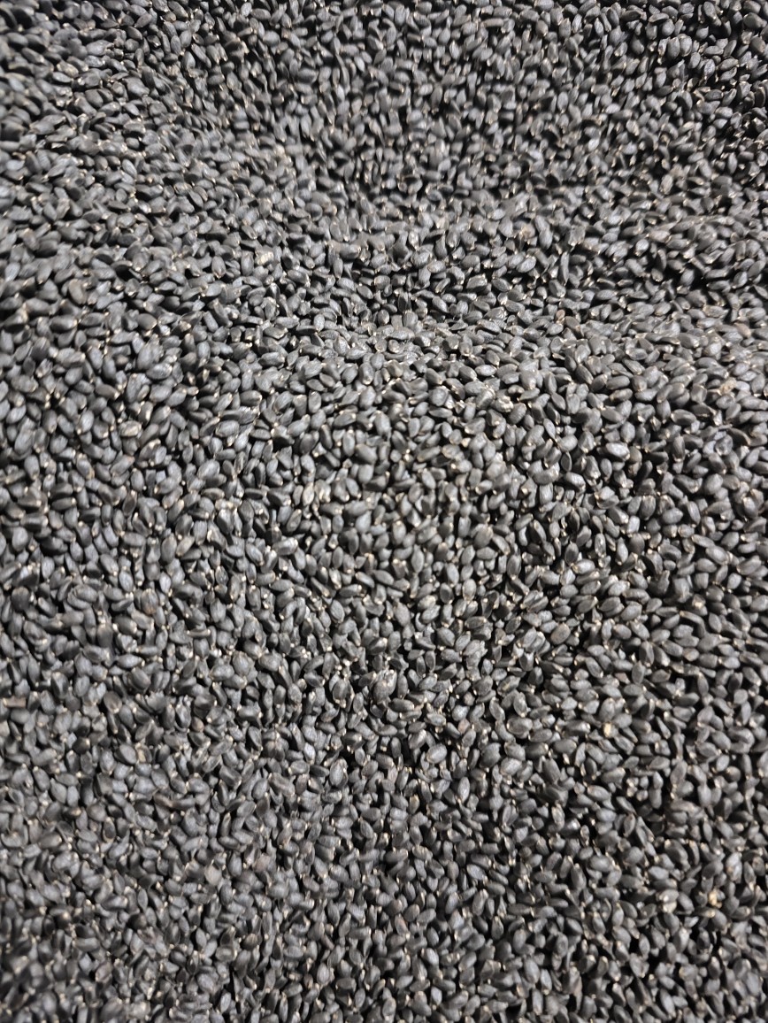 Lan Xiang Zi (Ocimum basilicum) — Basil Seeds for Herbal Drinks & Desserts in use