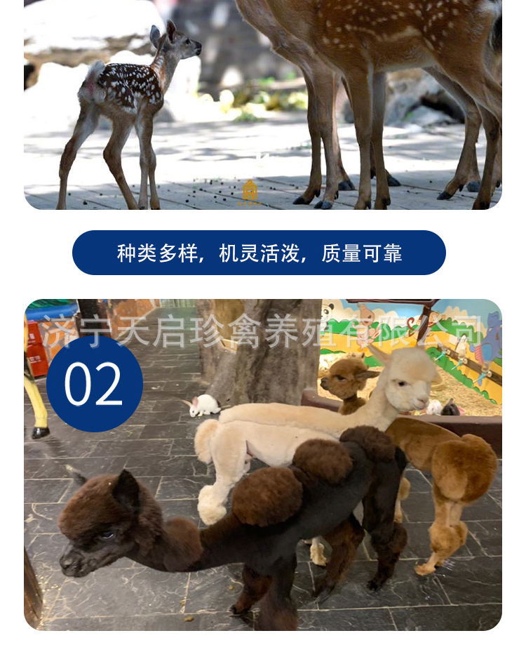 6bc63aaa96021d32a5de22a15ede70