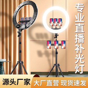 LED直播氛围补光灯6寸10寸12寸18寸ringlight桌面主播支架环形灯-阿里巴巴