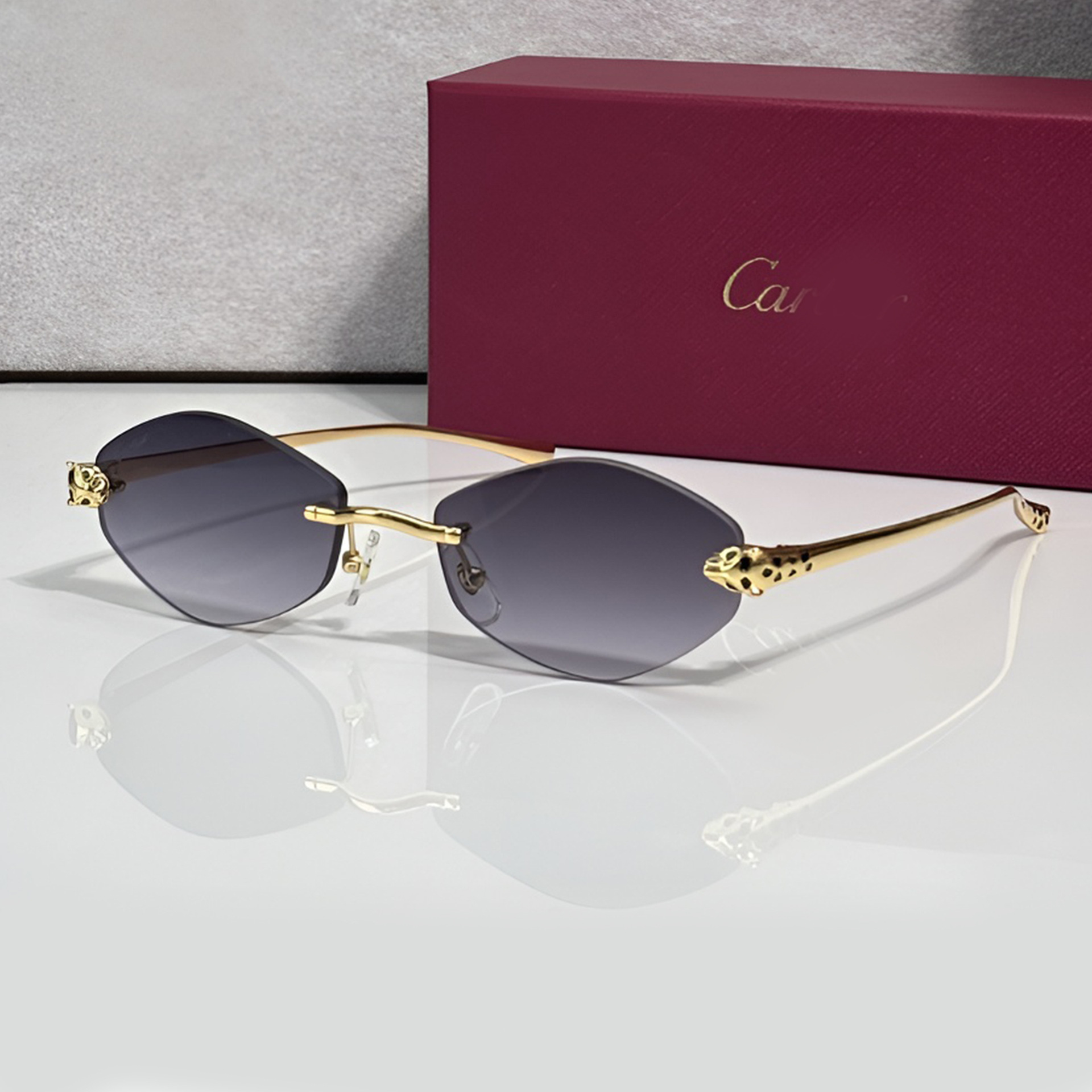 Kajia Sunglasses for Women, Retro Irregular Frame Metal Sunglasses for Men, Fashionable European and American Trendy Glasses Ct0637S